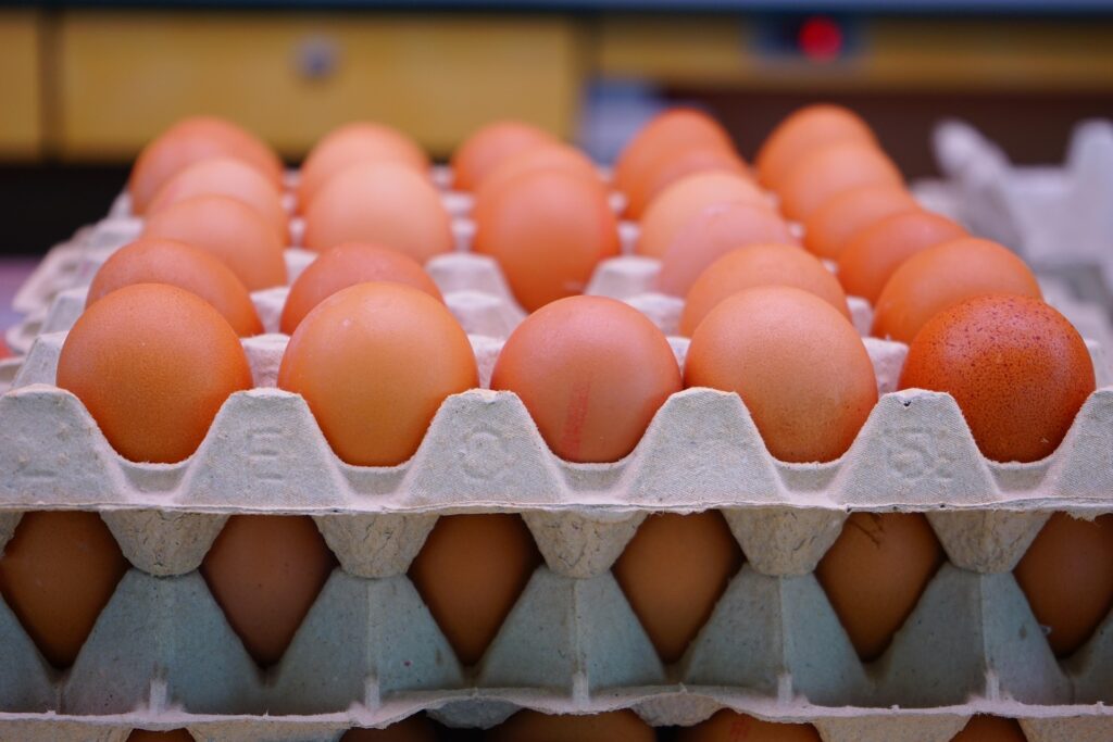 hans-eggs-318227_1920