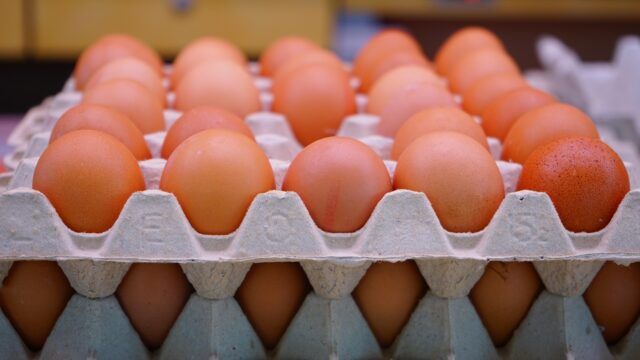 hans-eggs-318227_1920
